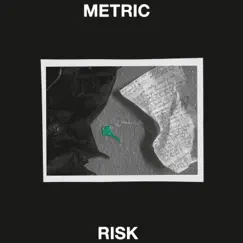 Risk (Radio Edit) - Single by Metric album reviews, ratings, credits