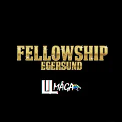 Fellowship 2020 - Single by LIL MÅGA album reviews, ratings, credits