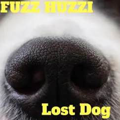 Lost Dog - Single by Fuzz Huzzi album reviews, ratings, credits
