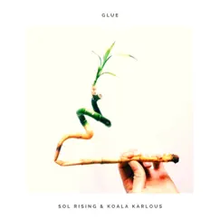 Glue - Single by Sol Rising & Koala Karlous album reviews, ratings, credits