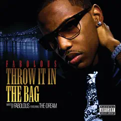 Throw It In the Bag (feat. The-Dream) [Explicit] Song Lyrics