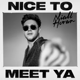 Nice to Meet Ya - Single by Niall Horan album download