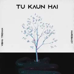 Tu Kaun Hai (feat. Vibhu Trehan) - Single by Hardbazy album reviews, ratings, credits