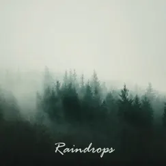 Raindrops - Single by INNARDZ album reviews, ratings, credits