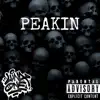 Peakin' - Single album lyrics, reviews, download