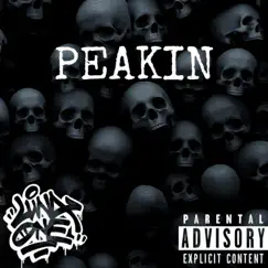 Peakin' - Single by Luna Oneske album reviews, ratings, credits