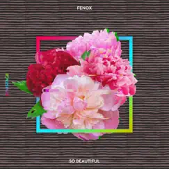 So Beautiful - Single by Fenox album reviews, ratings, credits