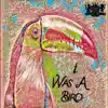 I Was a Bird - Single album lyrics, reviews, download