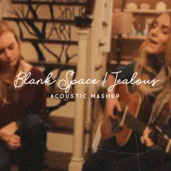 Blank Space / Jealous (Acoustic Mashup) - Single by Megan Davies & Jaclyn Davies album reviews, ratings, credits