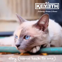 Stay (Come Back to Me) [feat. Ariana Celaeno] - Single by DJ Keyeth album reviews, ratings, credits