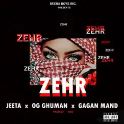 Zehr (feat. Jeeta, Og Ghuman & Gagan Mand) - Single by Beeba Boys album reviews, ratings, credits