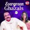 Evergreen Ghazals, Vol. 2 album lyrics, reviews, download