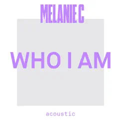 Blame It On Me (Acoustic) Song Lyrics