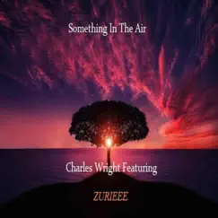 Something in the Air - Single by Charles Wright album reviews, ratings, credits