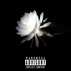 New Thing - Single by Jfrr & Myles Faraway album reviews, ratings, credits