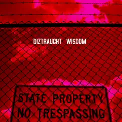 Wisdom - Single by Diztraught album reviews, ratings, credits