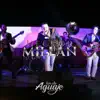 Hector Millan y Los de Aguaje en vivo (En vivo) album lyrics, reviews, download