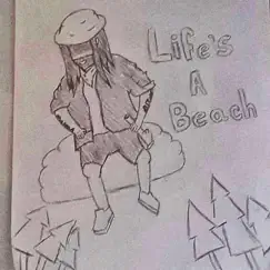 Lifes a Beach Song Lyrics