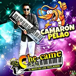 Camarón Pelao by Che Came El Mago de los Teclados album reviews, ratings, credits