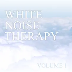 Clean White Noise Song Lyrics