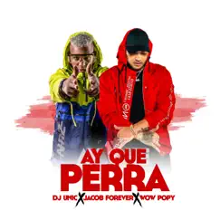 Ay Que Perra - Single by DJ Unic, Jacob Forever & wow popy album reviews, ratings, credits