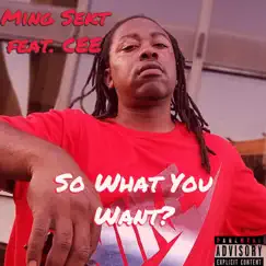 So What You Want? (feat. Cee) - Single by Ming Sekt album reviews, ratings, credits