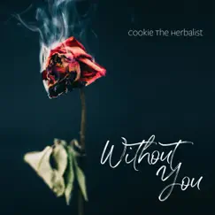 Without You - Single by Cookie the Herbalist album reviews, ratings, credits