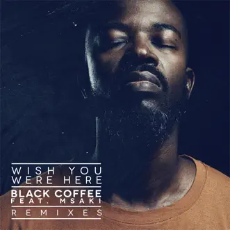 Wish You Were Here (feat. Msaki) [Remixes] by Black Coffee album download