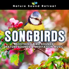 Songbirds: Soothing Bird Sounds - Nature Sounds & Meditation Music by Nature Sound Retreat album reviews, ratings, credits