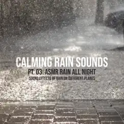 ASMR Rain: Rain on the Grass (feat. Mario ASMR Studio) Song Lyrics