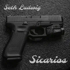 Sicarios (Instrumental) - Single by Seth Ludwig album reviews, ratings, credits
