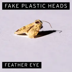 Feather Eye Song Lyrics