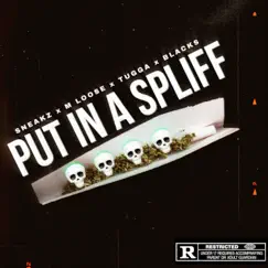 Put In a Spliff (feat. Blacks, Tugga, MLoose & Sneakz) Song Lyrics