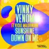 Sunshine down on Me (feat. Vicki Maldonado) - Single album lyrics, reviews, download