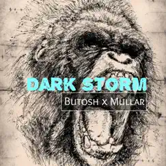 Dark Storm (feat. Mullar) Song Lyrics