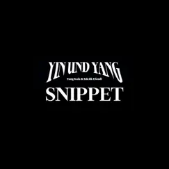 Snippet - EP by Yung Kafa & Kücük Efendi album reviews, ratings, credits