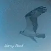 Starry Hawk song lyrics