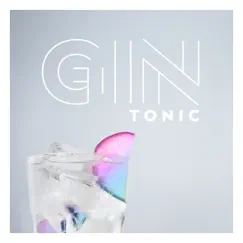 Gin Tonic - Single by Stereo Kulisse album reviews, ratings, credits