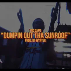 Dumpin Out Tha Sunroof Song Lyrics