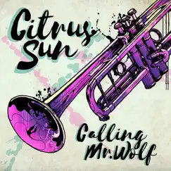 Calling Mr Wolf (Edit Version) - Single by Citrus Sun album reviews, ratings, credits