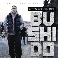 Zeiten ändern dich - Single by Bushido album reviews, ratings, credits