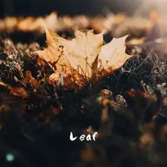 Leaf Song Lyrics