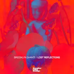 Lost Reflections (feat. Pad Thai Soundsystem & joesjoint) Song Lyrics