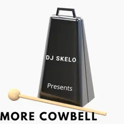 More Cowbell - Single by DJ SKELO album reviews, ratings, credits