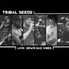 Down Bad Vibes (Live) - Single album lyrics, reviews, download