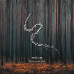 Through Shaded Woods (Deluxe Edition) by Lunatic Soul album reviews, ratings, credits
