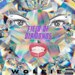 Field of Diamonds - Single by Wolfie Fenrir album reviews, ratings, credits