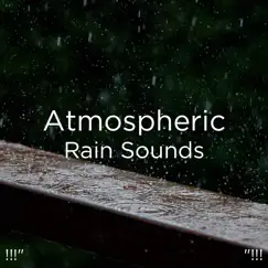 Rain to Fall Asleep Song Lyrics