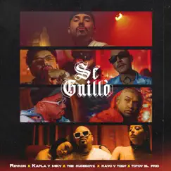Se Guilló (feat. Rayo & Toby, Totoy El Frio) - Single by Reykon, Kapla y Miky & The Rudeboyz album reviews, ratings, credits