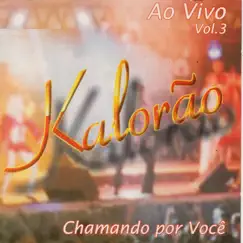 Reencontro (Ao Vivo) Song Lyrics